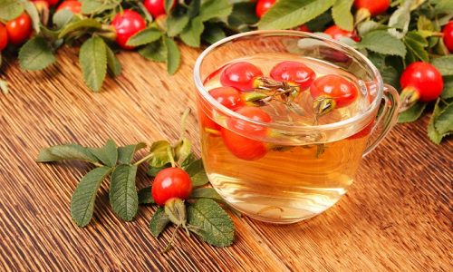 При панкреатите рекомендуется пить отвар шиповника