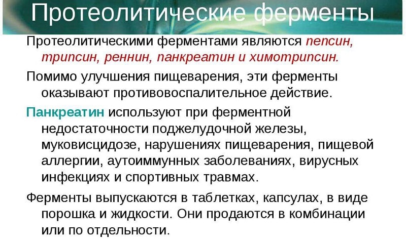 Протеолитические ферменты отвечают за переработку протеинов