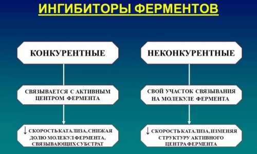 Ингибиторы снижают активность протеолитических ферментов, предупреждают высвобождение кининов, препятствуют прогрессированию воспалительных процессов в поджелудочном органе