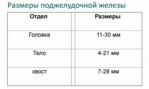 С помощью УЗИ определяют размеры составных частей поджелудочной железы
